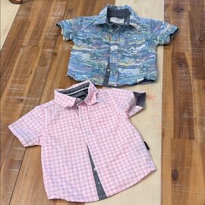 Kenneth Cole New York Kids Pink Gingham and Blue Scenic Shirts